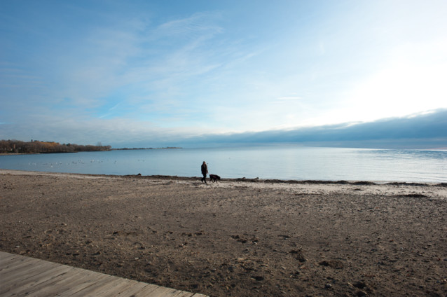 _JAS4940-WEB-Man-walking-his-dog-on-beach