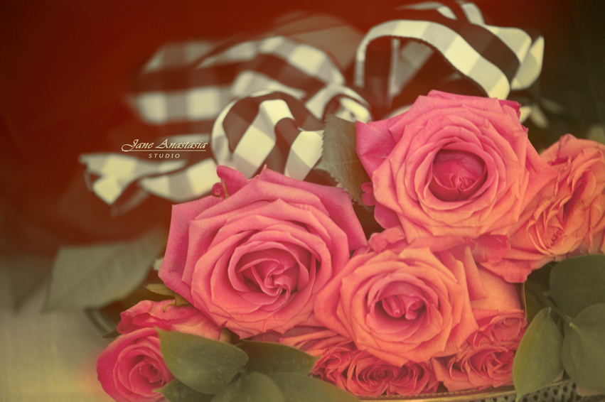 _JAS6829-2WEB-Pink-Roses-and-Black-checked-ribbon