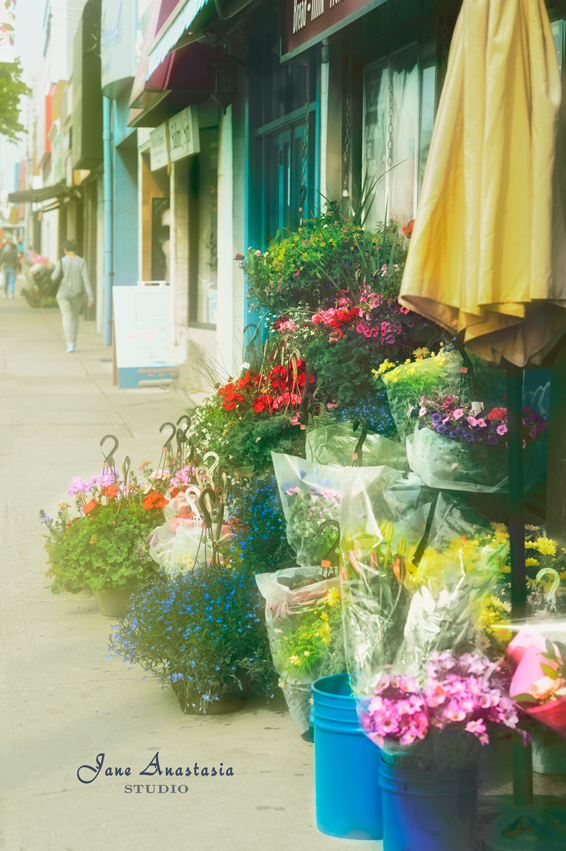 _JAS4290-WEB-Flowers-on-sidewalk-4