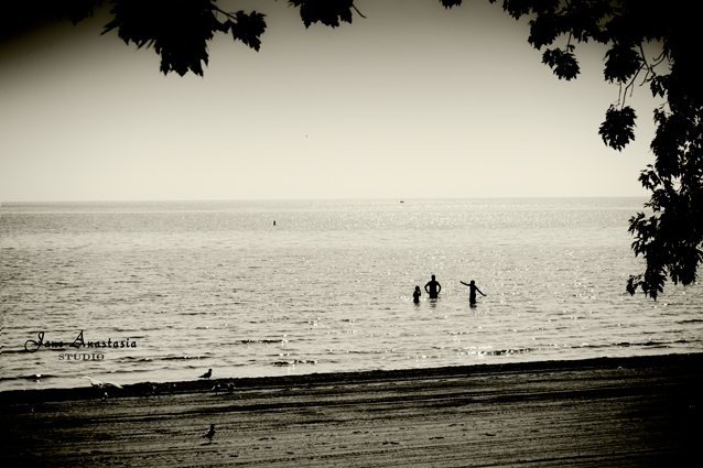 _JAS7653-WEB-People-in-the-water-at-the-beach