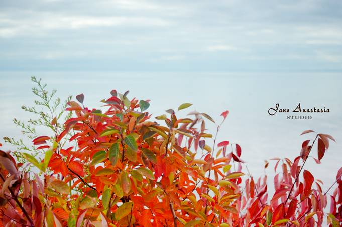 _JAS0351-WEB-Fall-leaves-at-lake-2