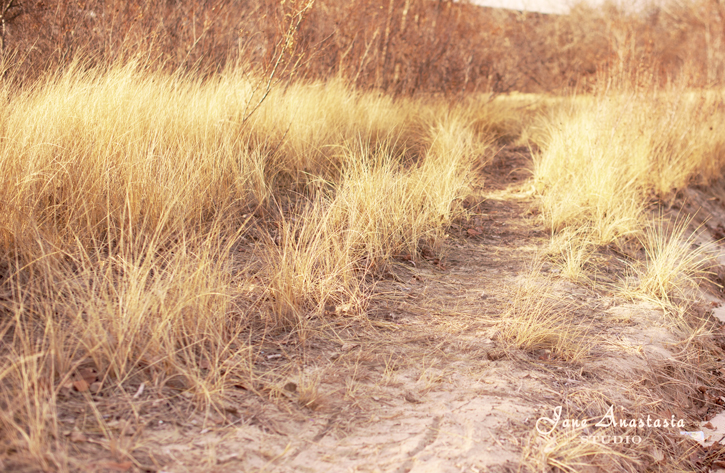 _JAS1095-WEB-Beach-grass-in-winter