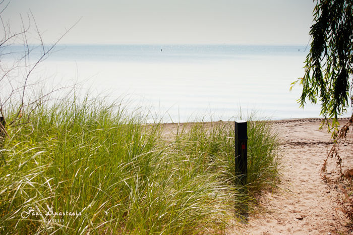 _JAS5317-WEB-Grass-to-the-beach