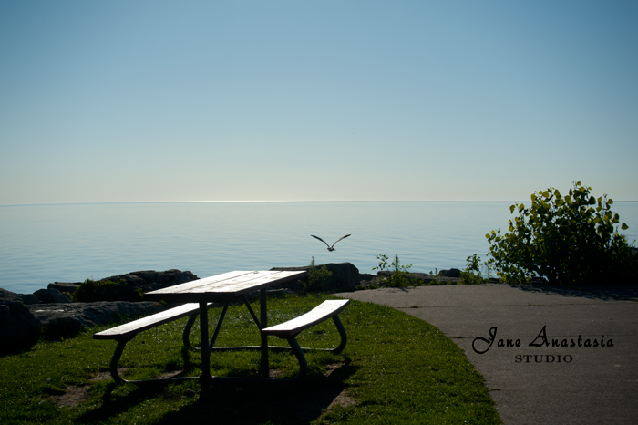 _JAS5623-WEB-Early-morning-at-the-lake