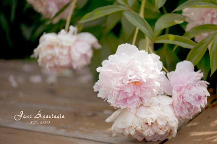 _JAS5968-WEB-Pink-Peonies