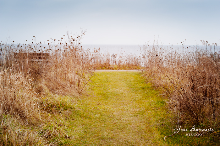 _JAS9723-WEB-Path-to-the-lake