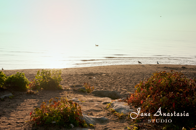 _jas4117-web-golden-sand-at-lake-js